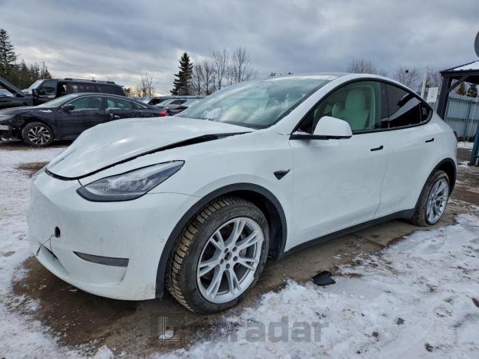 Tesla Model y 2021 VIN 5YJYGDEE7MF089101