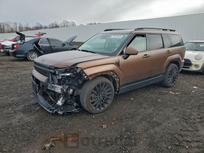 Hyundai Santa fe 2025 5NMP5DGL4SH089405
