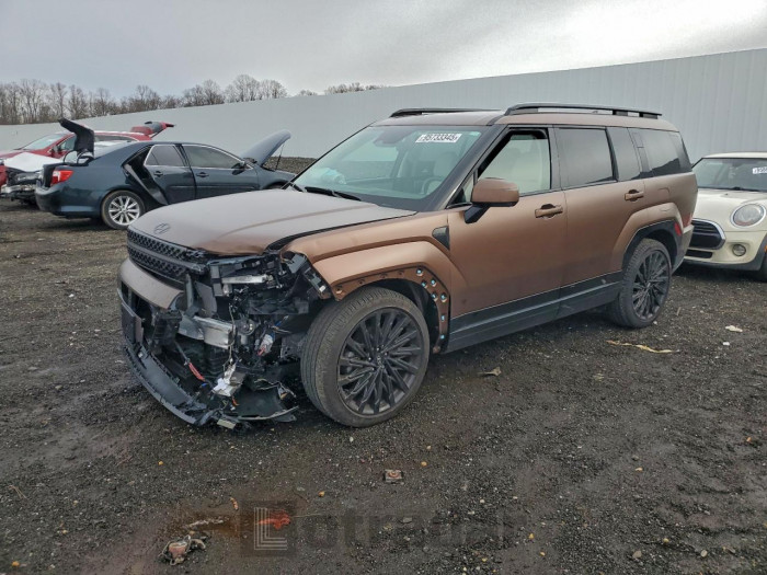 Hyundai Santa fe 2025 VIN 5NMP5DGL4SH089405