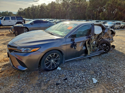Toyota Camry 2019 4T1B11HK8KU849768