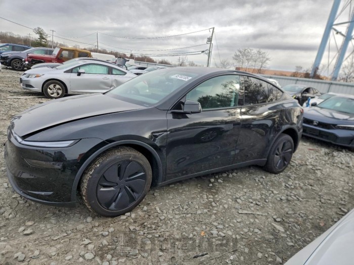 Tesla Model y 2026 VIN 7SAYGDEDXTF435151
