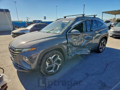 Hyundai Tucson 2024 VIN 5NMJE3DE4RH318553