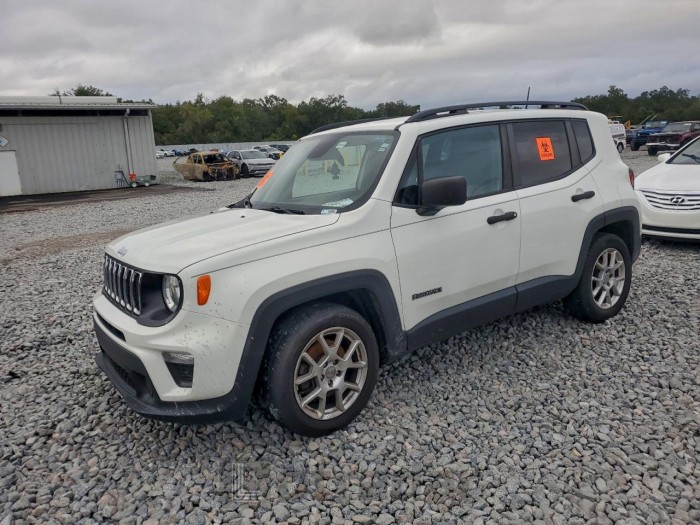 Jeep Renegade 2019 VIN ZACNJAAB1KPK06737