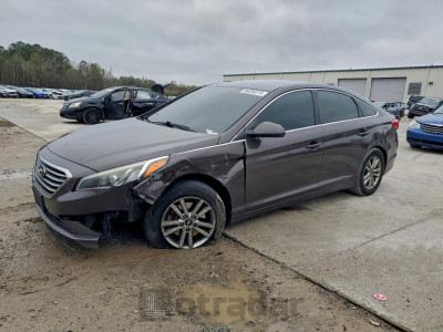 Hyundai Sonata 2016 5NPE24AF3GH336877