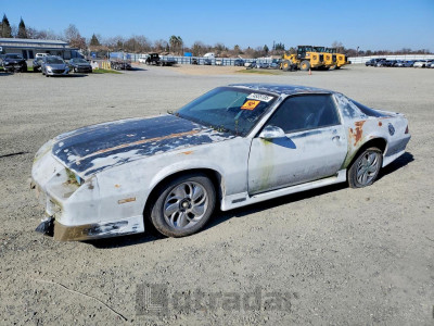 Chevrolet Camaro 1991 1G1FP23E5ML129597