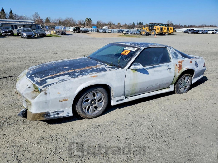 Chevrolet Camaro 1991 VIN 1G1FP23E5ML129597