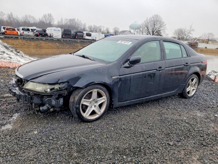 Acura Tl 2004 VIN 19UUA66264A031801