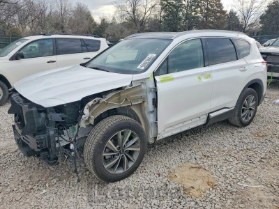 Hyundai Santa fe 2019 5NMS53AD2KH027913