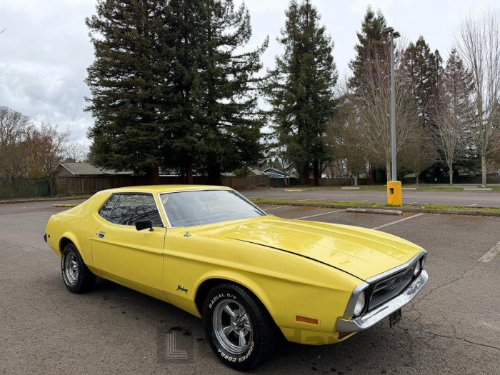 Ford Mustang 1971 VIN 1F01F134862