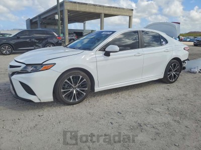 Toyota Camry 2019 4T1B11HK2KU255791