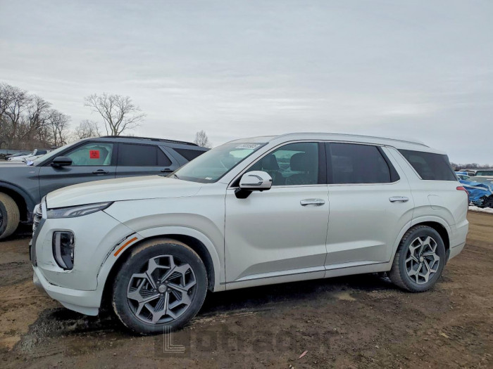 Hyundai Palisade 2020 VIN KM8R5DHE7LU139714