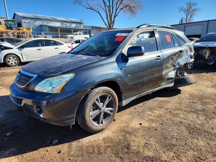 Lexus Rx 2006 VIN JTJHW31U462004342