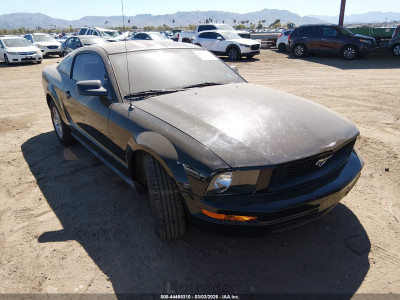 Ford Mustang 2008 1ZVHT80N685202907
