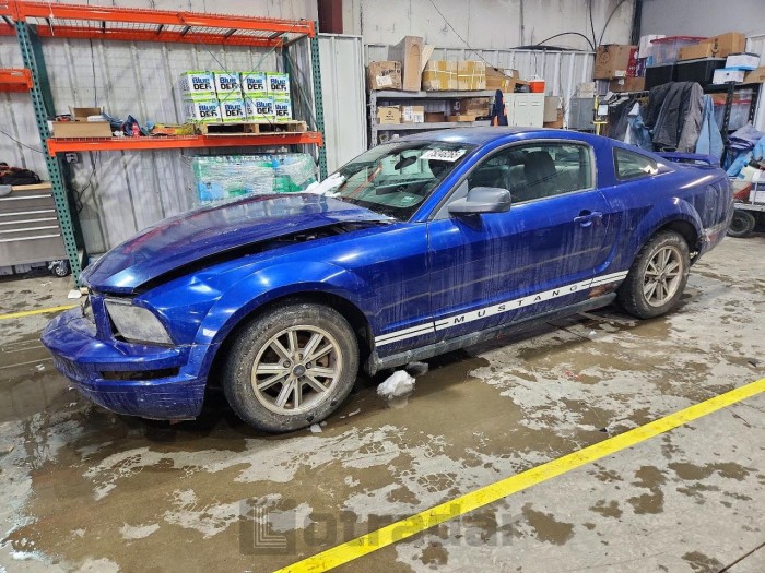 Ford Mustang 2005 VIN 1ZVFT80N155254822
