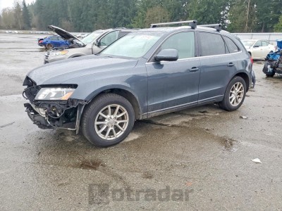 Audi Q5 2010 VIN WA1LKAFP8AA065055