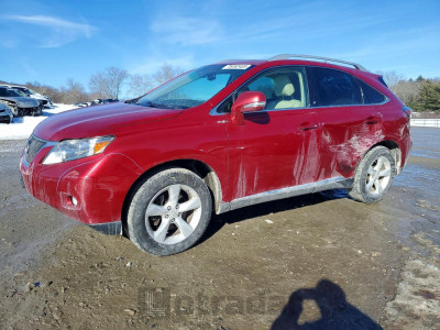 Lexus Rx 2011 2T2BK1BA1BC088737