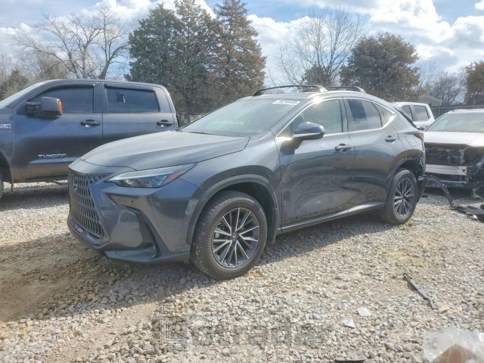 Lexus Nx 2025 VIN 2T2GGCEZ8SC087301