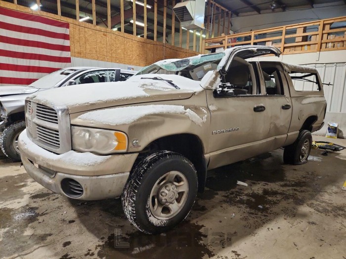 Dodge Ram 2003 VIN 3D7KU28CX3G781994