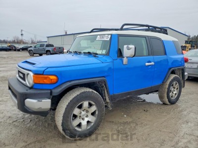 Toyota Fj cruiser 2007 VIN JTEBU11F770041155