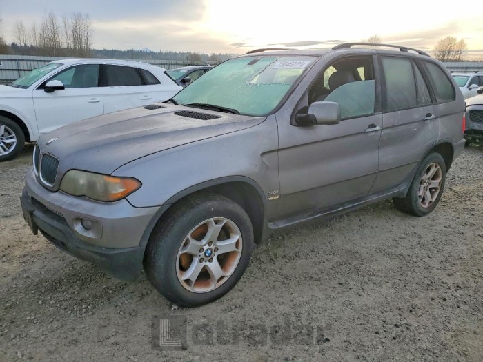 BMW X5 2005 VIN 5UXFA13595LY18285