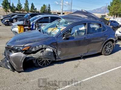 Toyota Camry 2023 4T1G11AK5PU160942