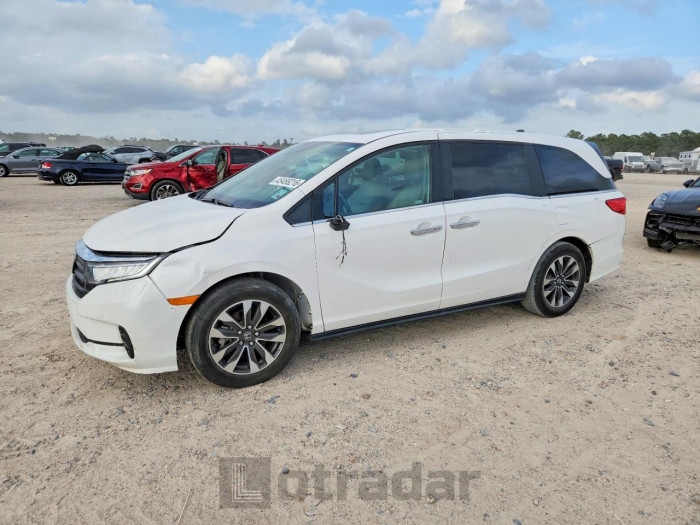 Honda Odyssey 2024 VIN 5FNRL6H61RB024817