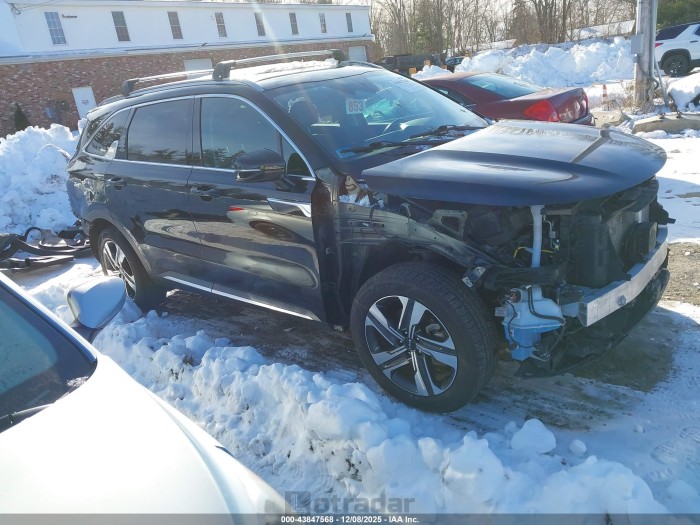 Kia Sorento 2024 VIN KNDRHDLG6R5248477