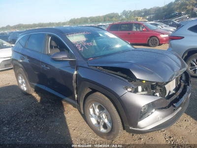 Hyundai Tucson 2023 KM8JBCAE2PU247920