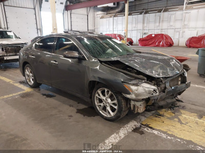 Nissan Maxima 2013 1N4AA5AP4DC836818