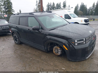 Hyundai Santa fe 2025 5NMP2DGL0SH131464