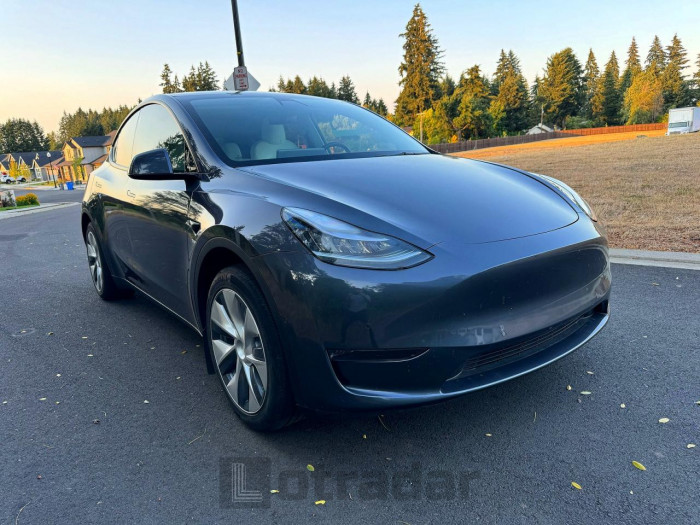 Tesla Model y 2021 VIN 5YJYGDED6MF106087