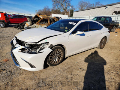 Lexus ES 2019 58ABZ1B1XKU030617