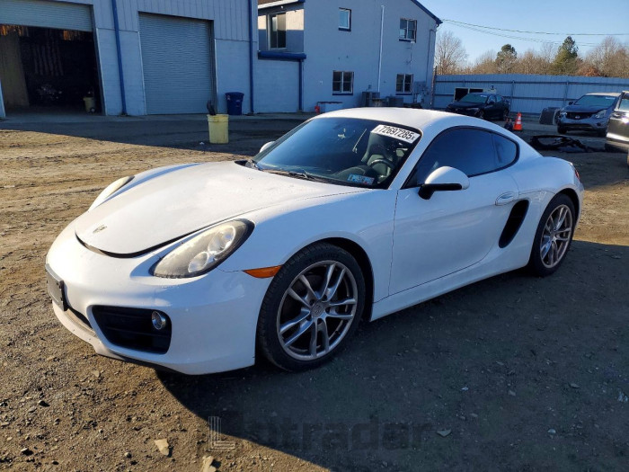 Porsche Cayman 2015 VIN WP0AA2A84FK164253