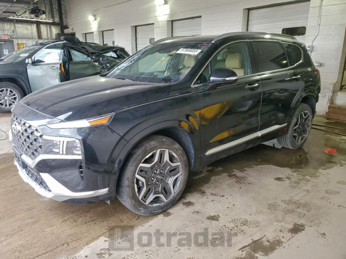 Hyundai Santa fe 2021 VIN 5NMS5DAL9MH317579