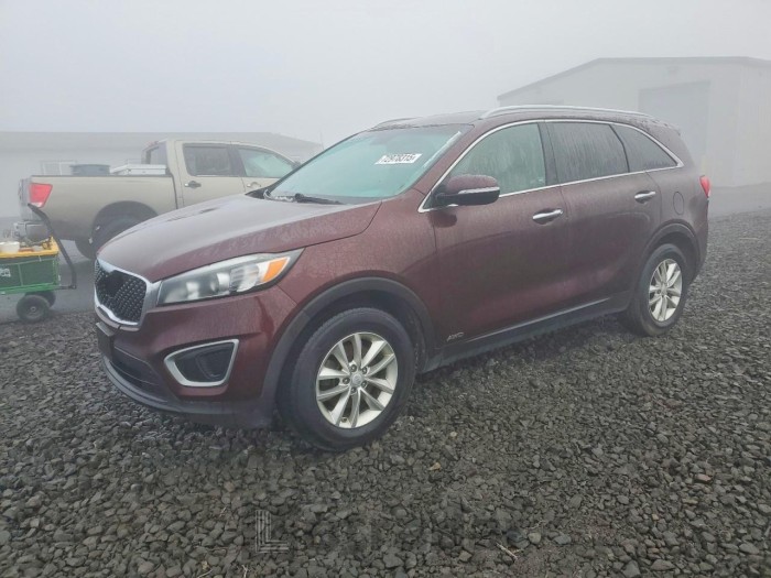 Kia Sorento 2017 VIN 5XYPGDA32HG279354