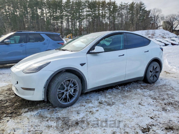 Tesla Model y 2024 VIN 7SAYGDED6RA318642