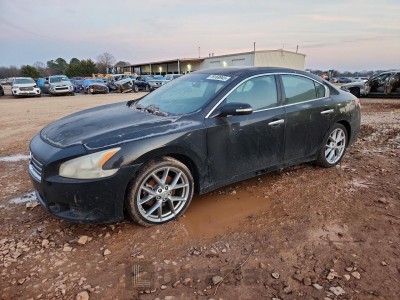 Nissan Maxima 2009 1N4AA51E79C808873