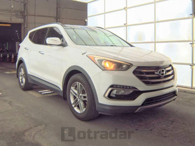 Hyundai Santa fe 2017 5NMZU3LB0HH046286