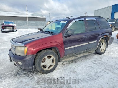 Chevrolet Trailblazer 2008 1GNDT13S782205768
