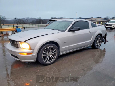 Ford Mustang 2006 1ZVHT82H265246021