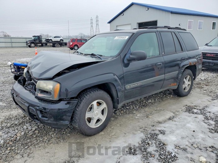 Chevrolet Trailblazer 2004 VIN 1GNDT13S642270766