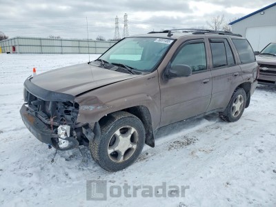 Chevrolet Trailblazer 2008 1GNDT13S982165709