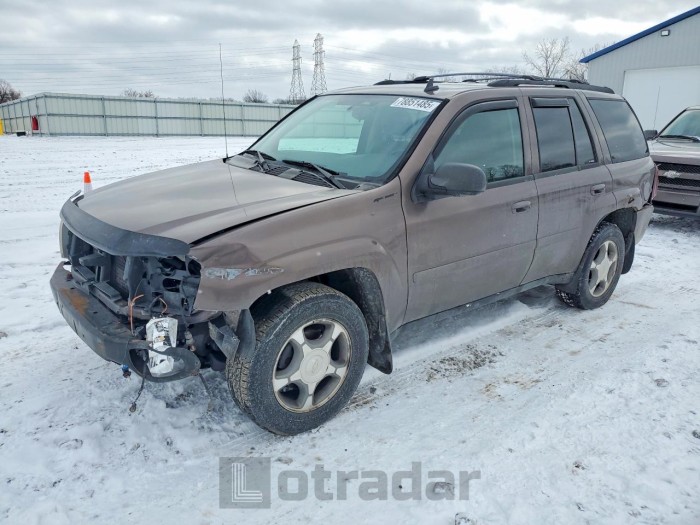 Chevrolet Trailblazer 2008 VIN 1GNDT13S982165709