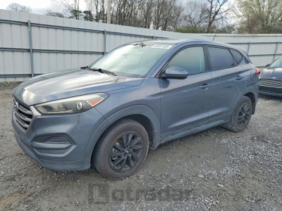 Hyundai Tucson 2017 KM8J23A49HU338806