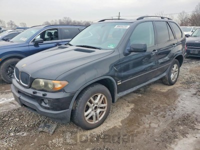 BMW X5 2006 5UXFA13556LY38311