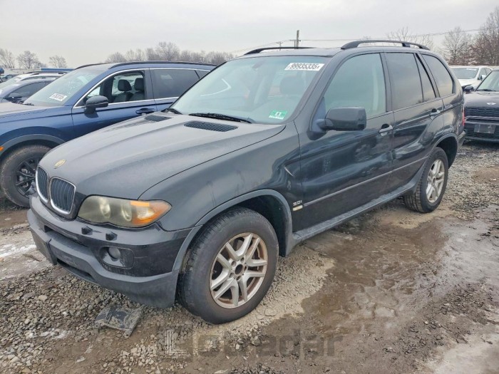 BMW X5 2006 VIN 5UXFA13556LY38311