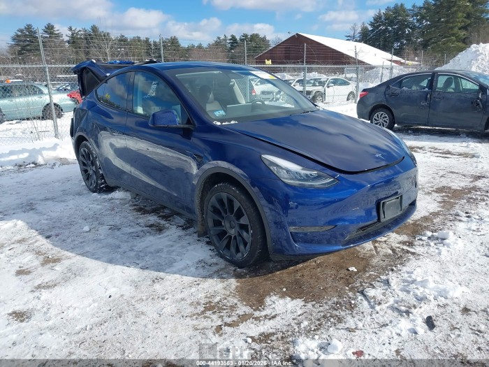 Tesla Model y 2023 VIN 7SAYGDEE1PA107970