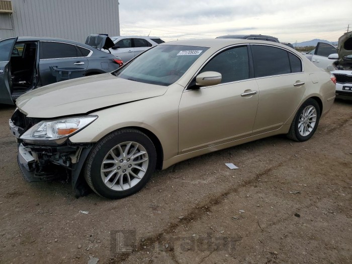 Hyundai Genesis 2009 VIN KMHGC46E29U026259