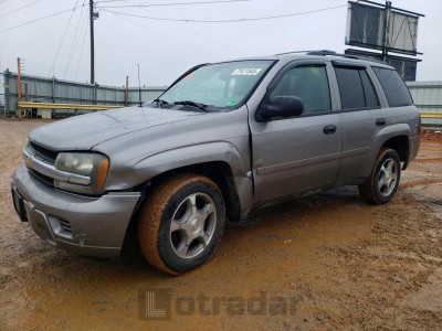 Chevrolet Trailblazer 2008 1GNDT13S282208447
