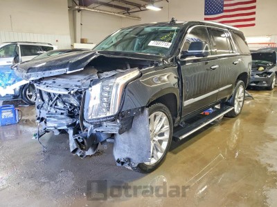 Cadillac Escalade 2020 VIN 1GYS4CKJ1LR167045